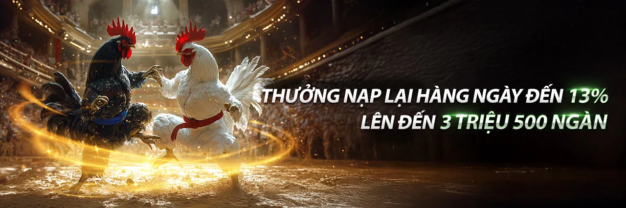 Đá gà trực tuyến kịch tính tại Pho88 trang chủ chính thức 2026